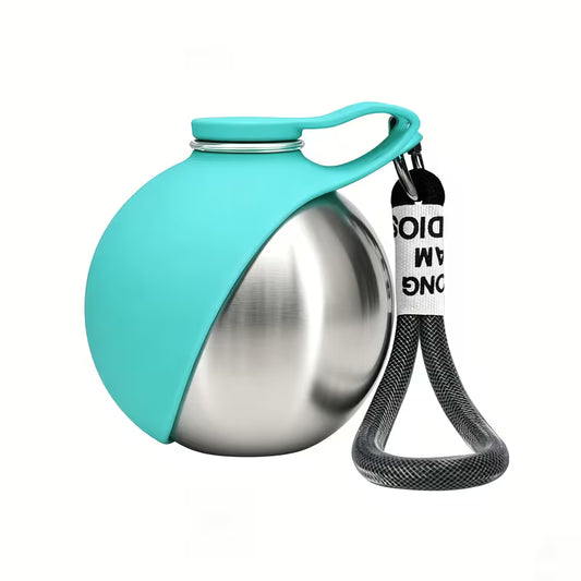 Dog drinking bowl
